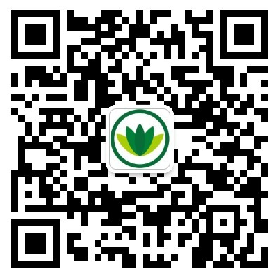 廉江番石榴,廉江番石榴批发,廉江番石榴供应商,廉江番石榴收购